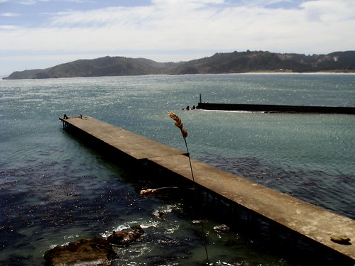 I come here often and always get the paseo del mar. 1000 n cage blvd, pharr, tx 78577. Muelle Lebu La encontré revisando mi camarita, y el día qu… Flickr