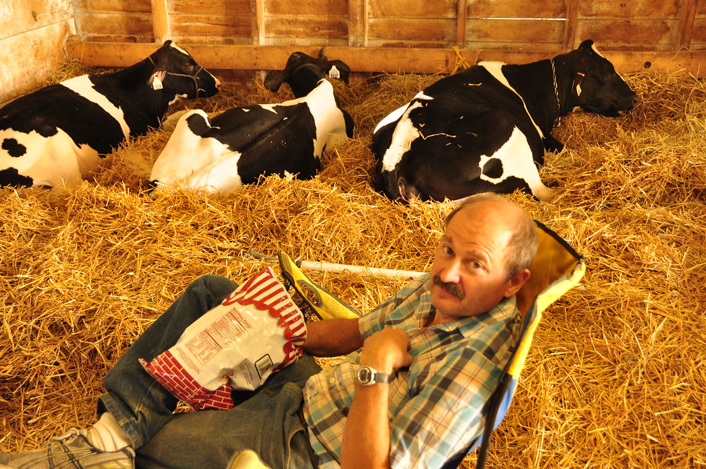 A Day at the Sandwich, IL Fair Flickr