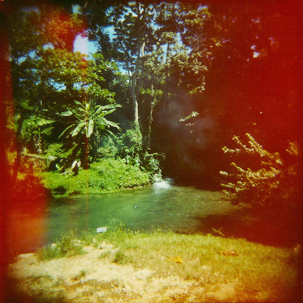 JUNGLE (ORANGE HILL, JAMAICA) "tell dem to go fi a swim" Flickr
