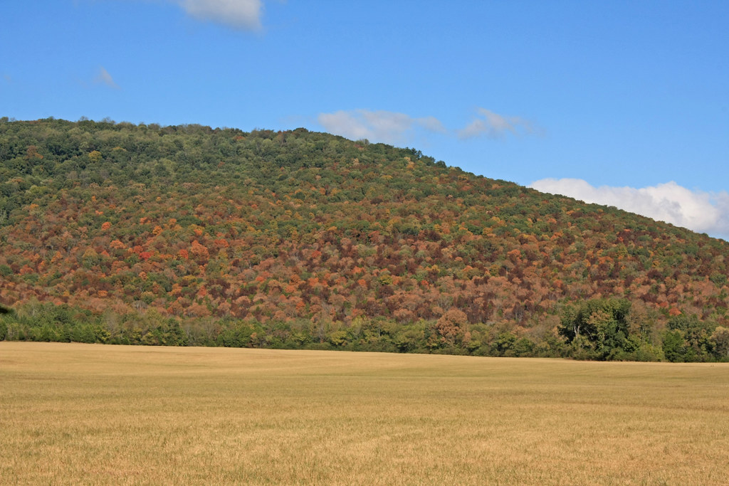 Keel Mountain, Paint Rock River Valley, Jackson County, Al… Flickr