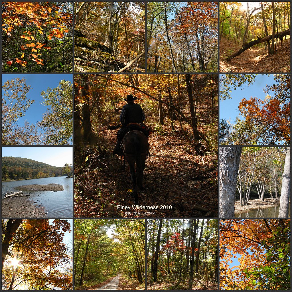 Piney Creek Wilderness near Shell Knob, MO Julie A Brown Flickr