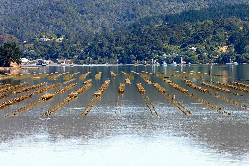 Forecasting Marine “Bioinvasions” in a Warming World