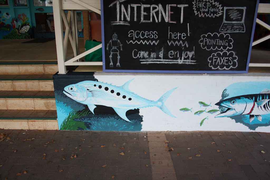 Ningaloo Reef Dreaming Mural by Mark Bell IMG9959… Flickr