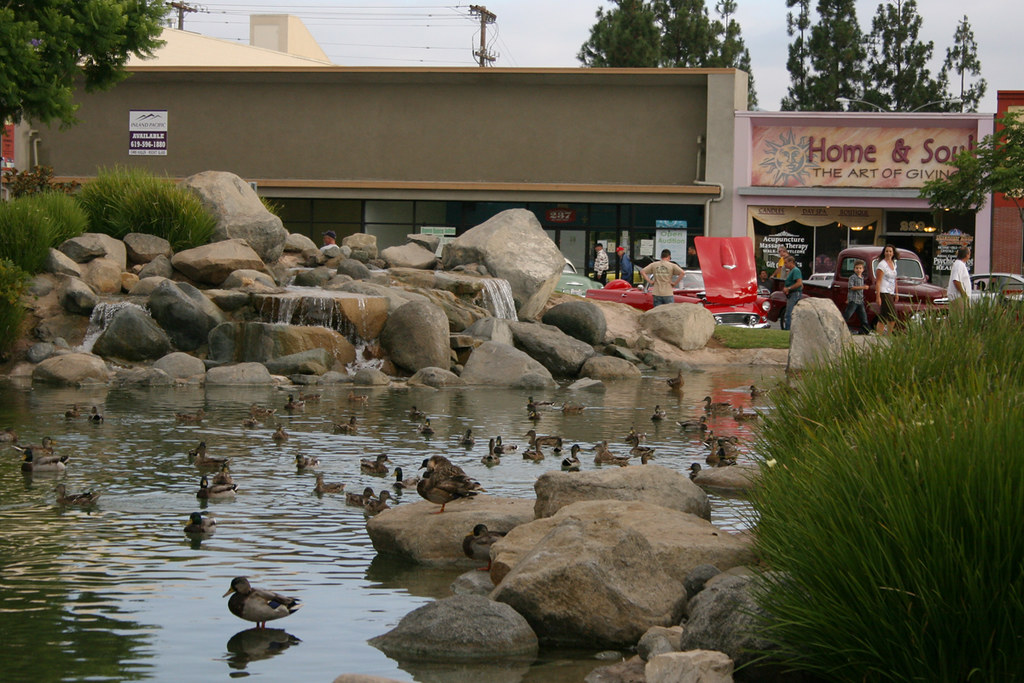 El Cajon Cars & Lots of Ducks Driven to Capture 2 Flickr