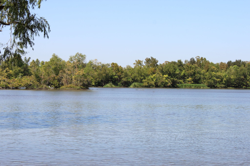 Elevation of Coteau Holmes, LA, USA Topographic Map Altitude Map