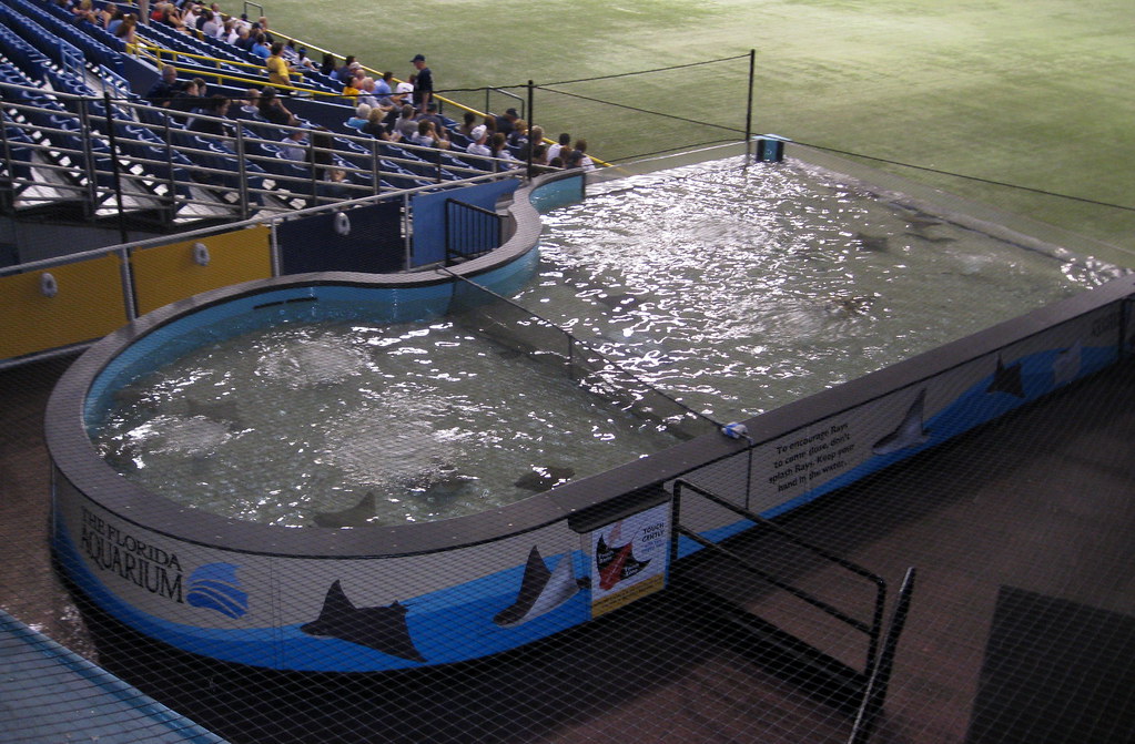 St. Petersburg Tropicana Field Rays Tank a photo on Flickriver
