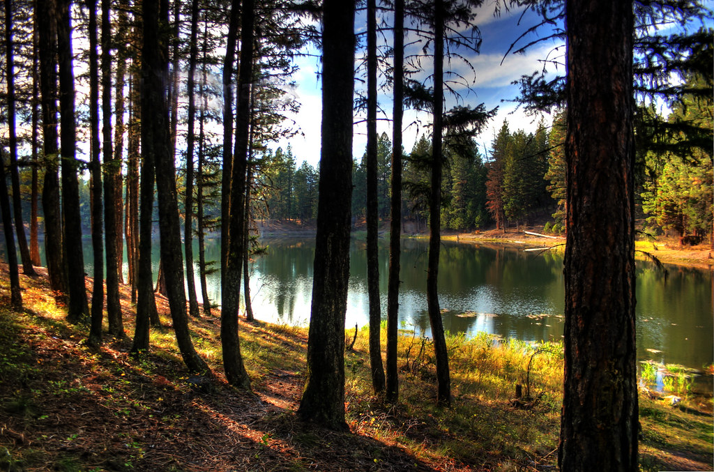 Kreis Pond, Montana Micah Sheldon Flickr