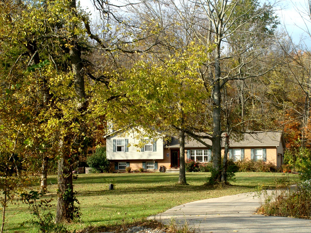 Our Home in the Woods Becca Flickr