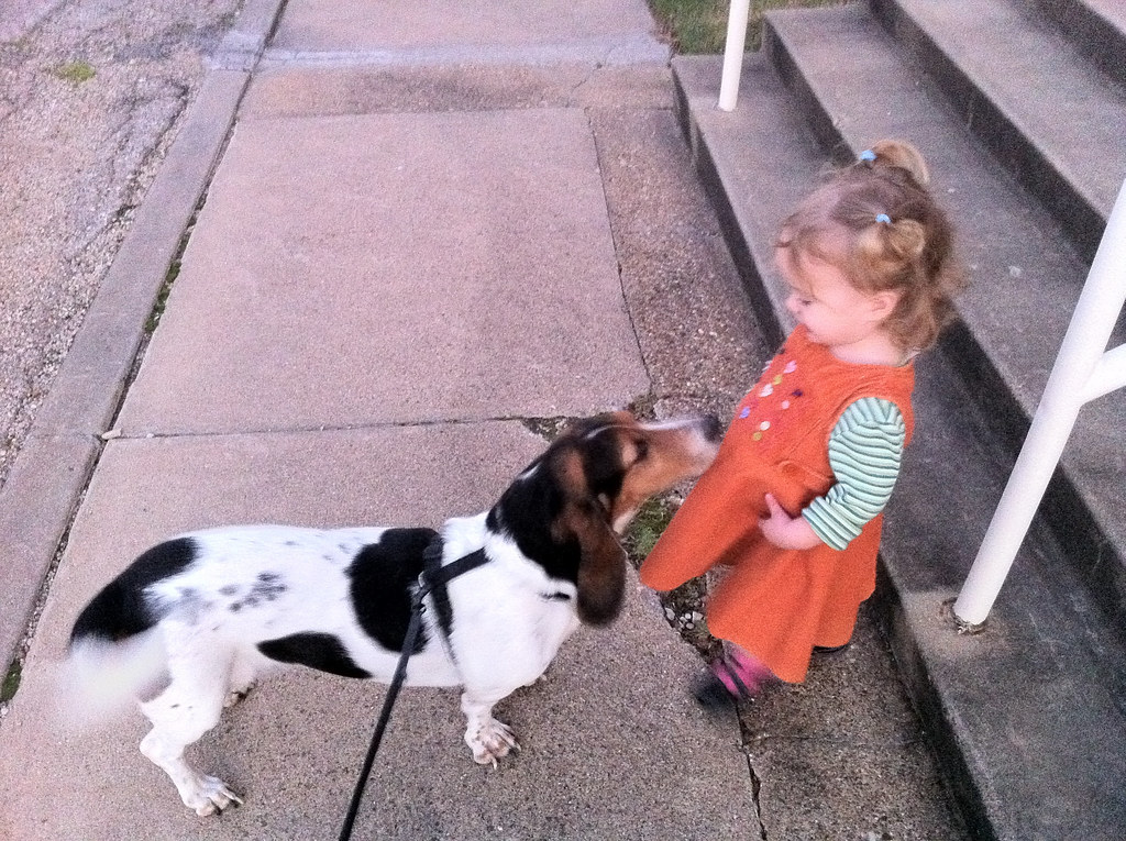 Untitled Justin Flowers Flickr