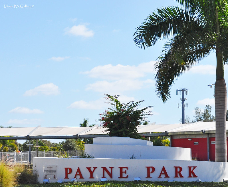 Payne Park Flickr