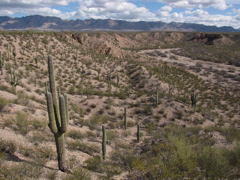 Rhodes Wash, SE of San Manuel, AZ Rhodes Wash, SE of San M… Flickr
