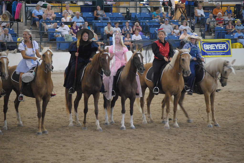BREYERFEST KENTUCKY HORSE PARK appaIoosa Flickr