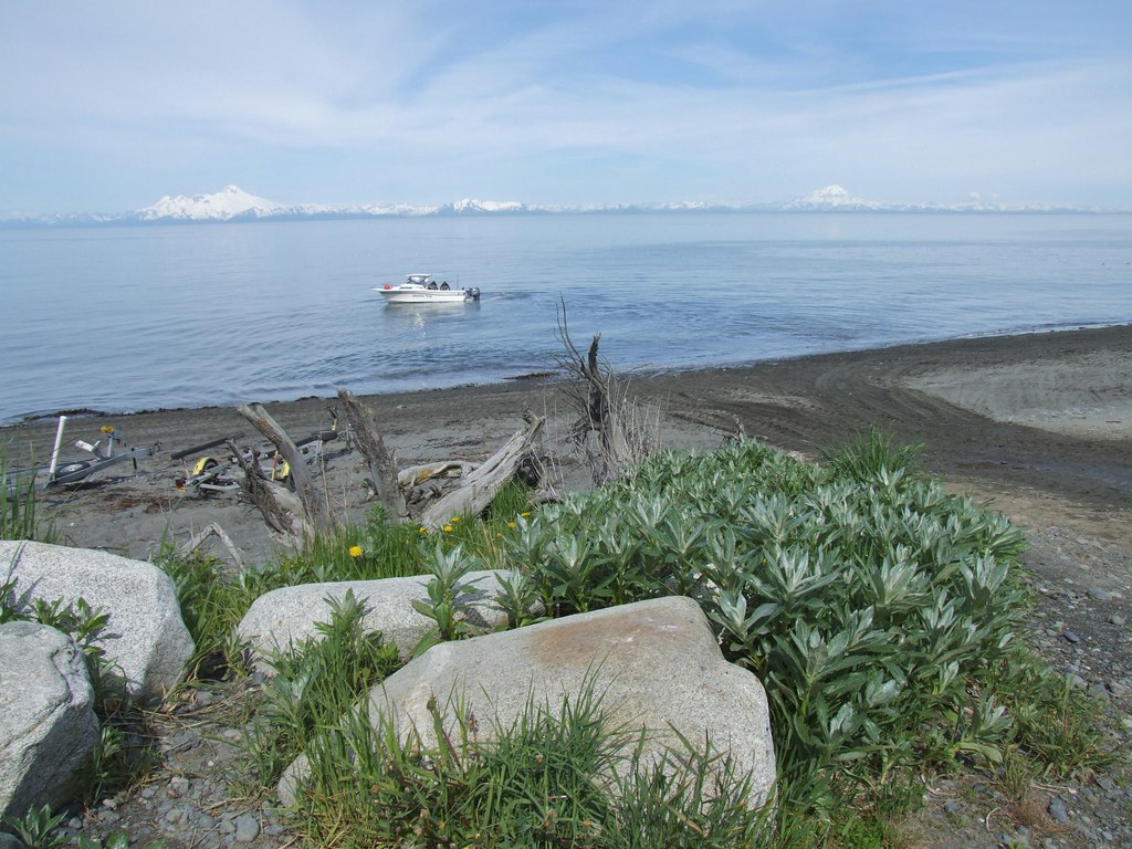 Anchor Point The boat's on its way out, likely for some fi… Flickr