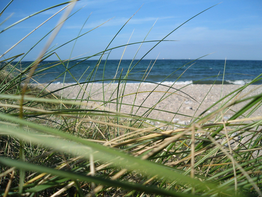 Fehmarn Strand Dennis Schäffer Flickr
