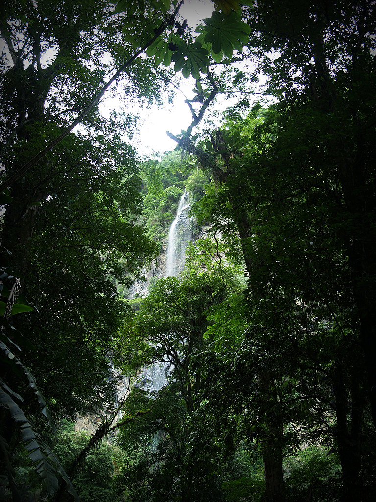 maracas waterfall Please View On Black Gillian Simpson Flickr