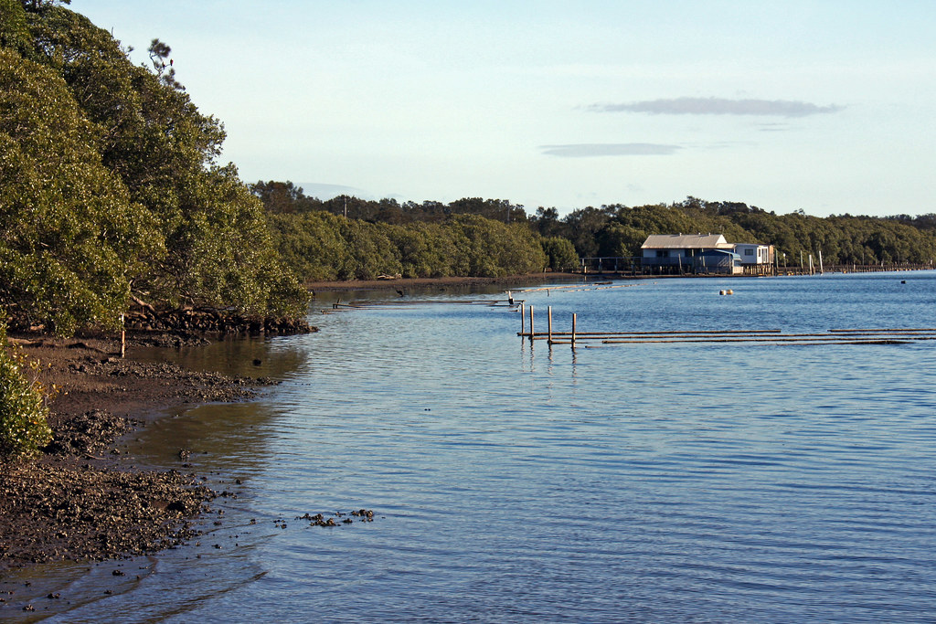 Low tide on the Hastings River EOS 23224 Tim J Keegan Flickr