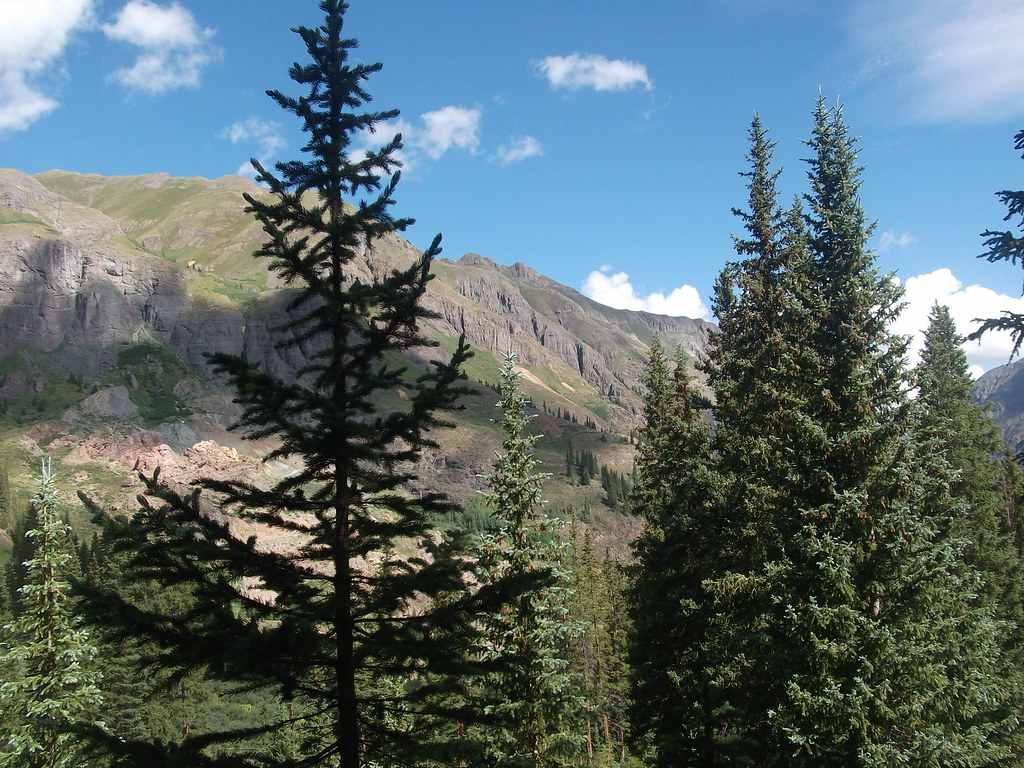 Rocky Mountain Evergreen Trees Skylar Vance Flickr