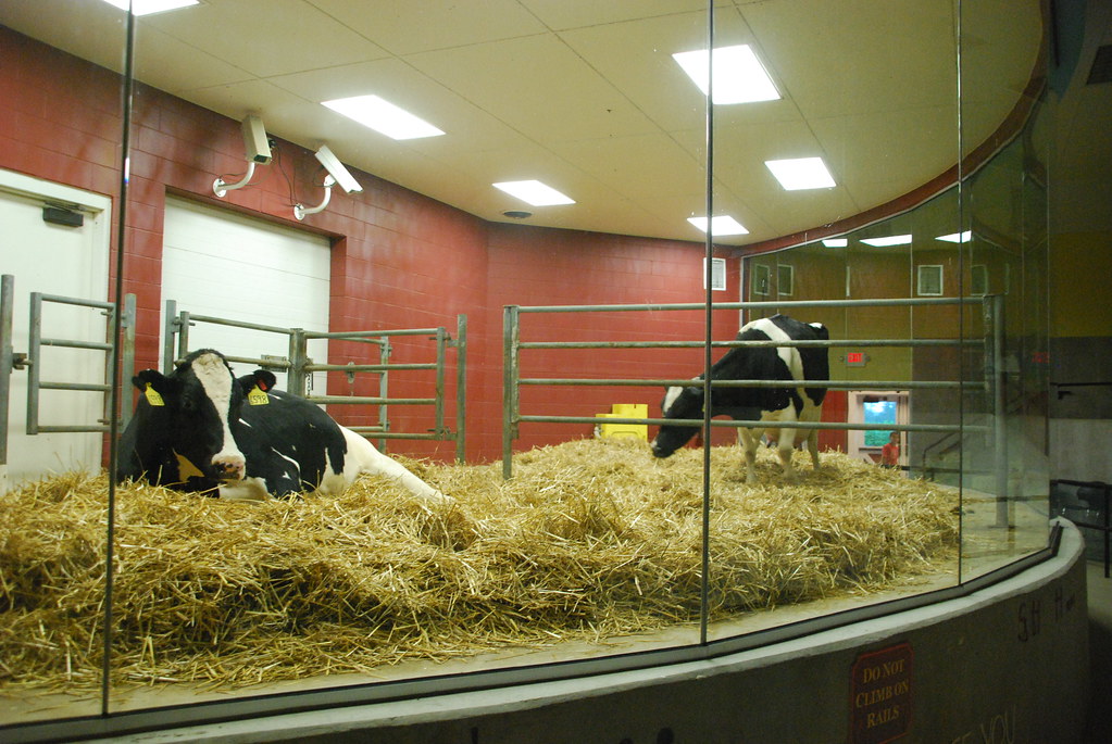 Fair Oaks Farms 123 Fair Oaks Farms "The Fair… Flickr