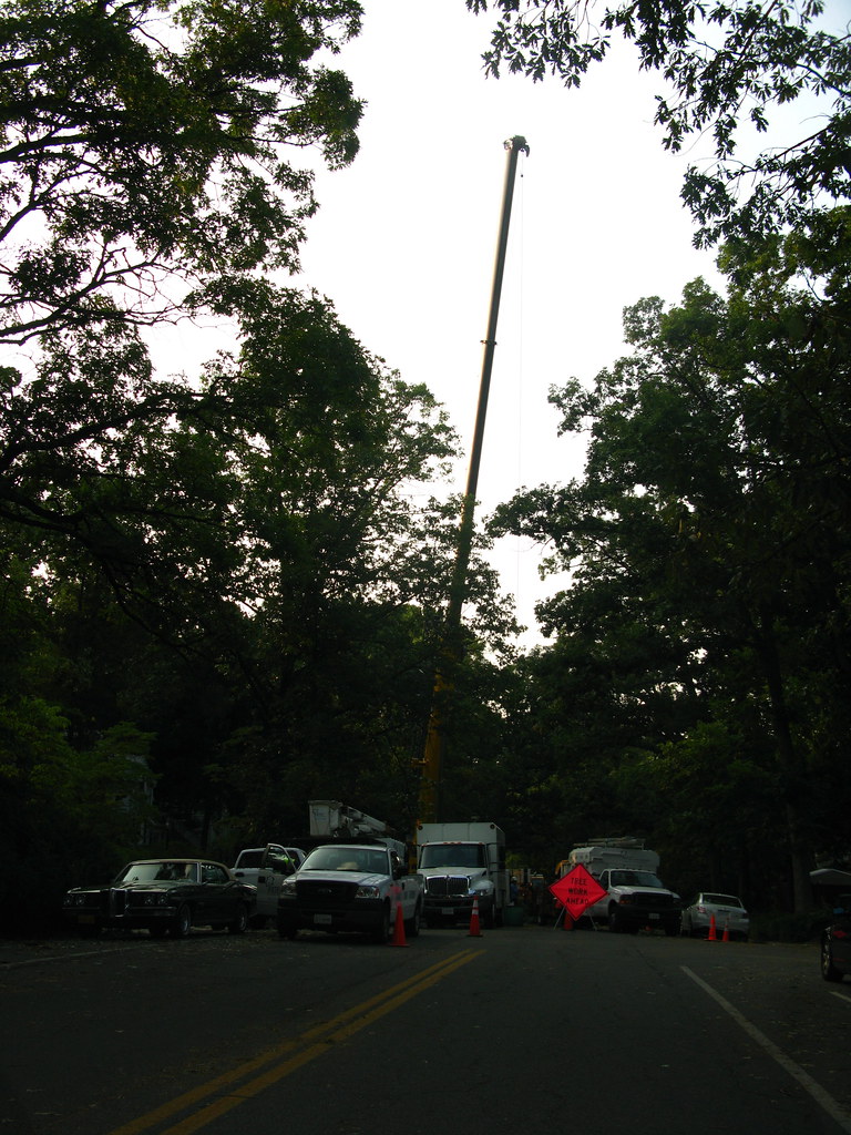 MAJOR WORK IN BEVERLY HILLS SECTION OF ALEXANDRIA THE ENIGMATIC