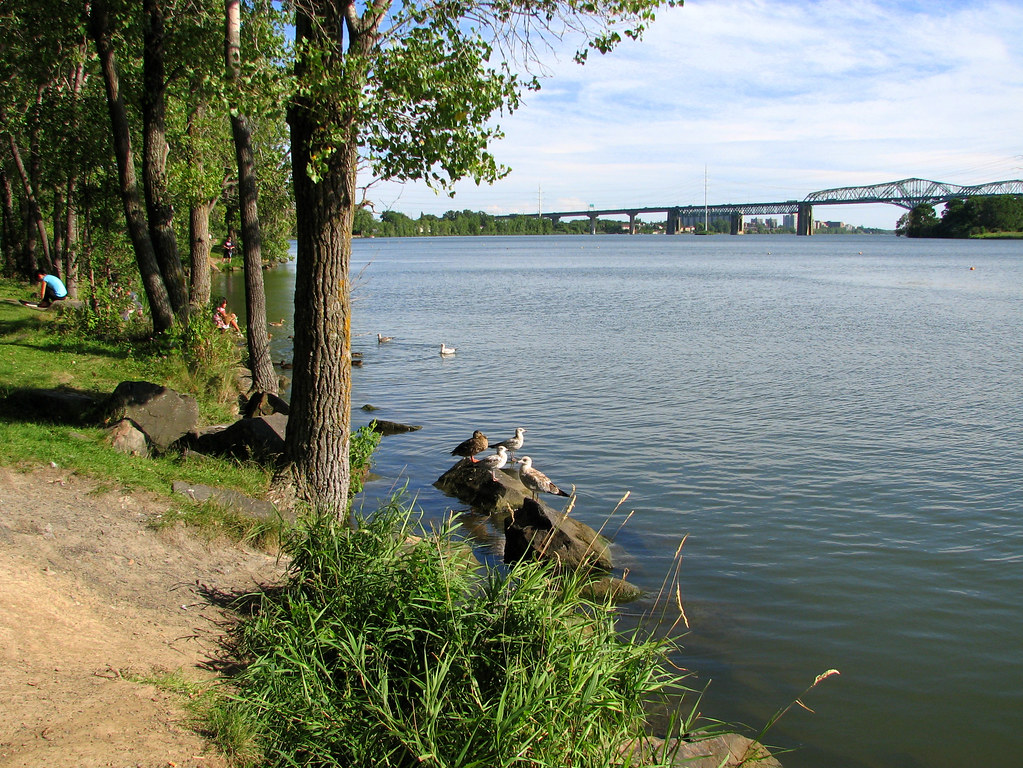 Les oiseaux du parc du Havre The birds of parc du Havre … Flickr