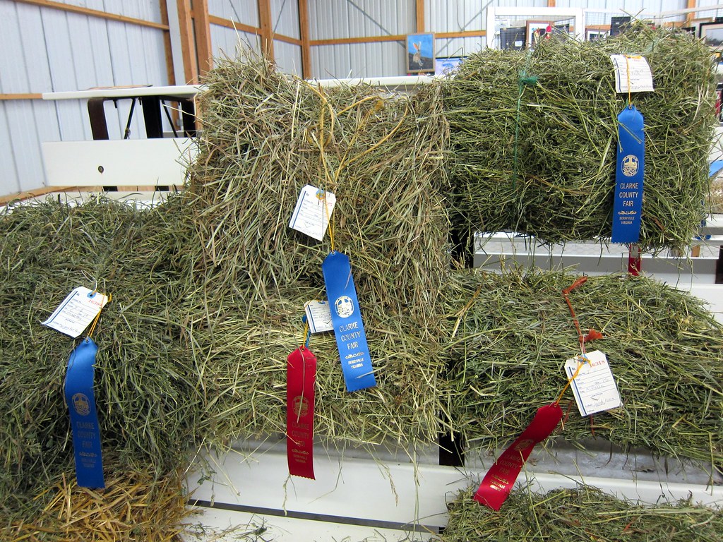 Award winning hay and alfalfa Alfalfa smells really good. Flickr