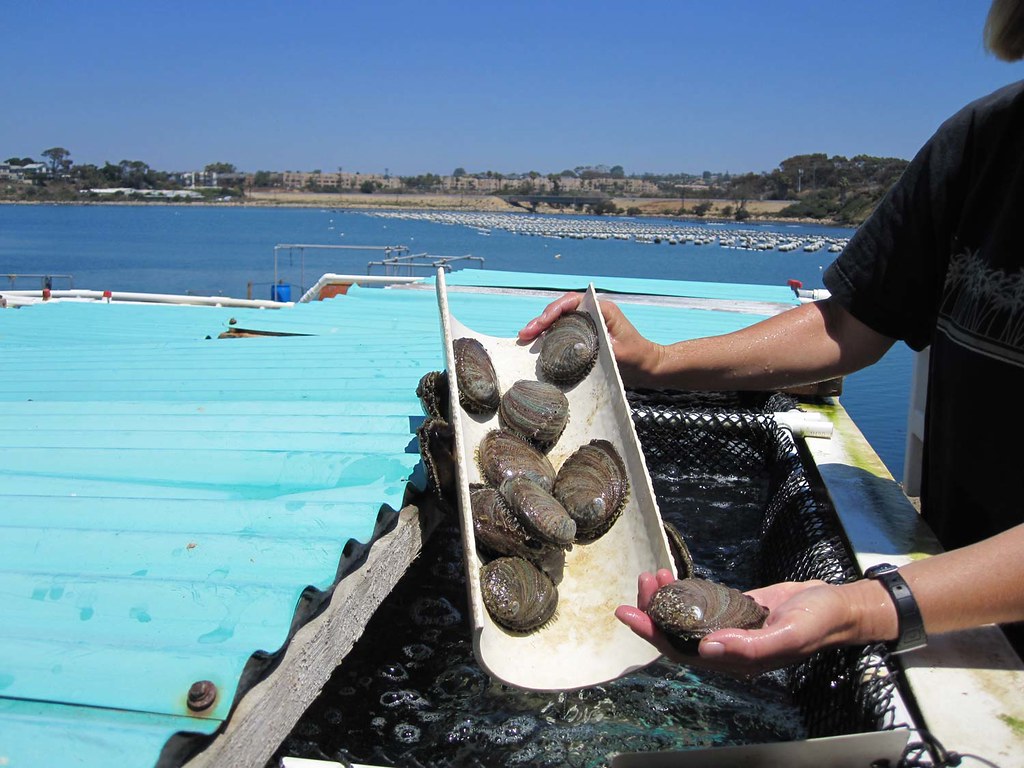Carlsbad Aquafarm tour 8.10.10 Flickr