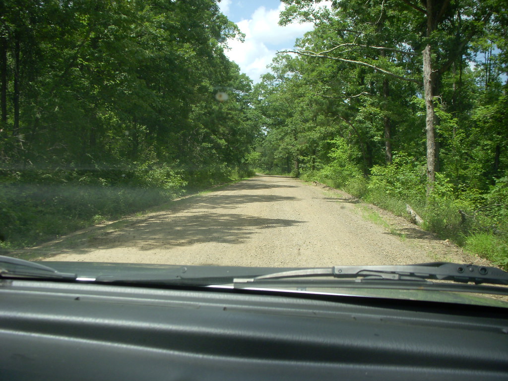 40 acres with lake near Limestone, Arkansas Flickr