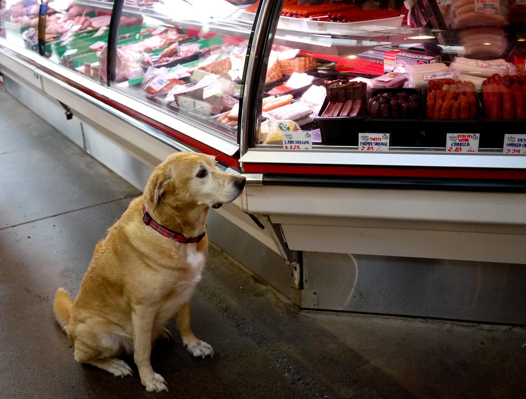 DOG IN A BUTCHER SHOP, Granville Island Market, Vancouver,… Flickr