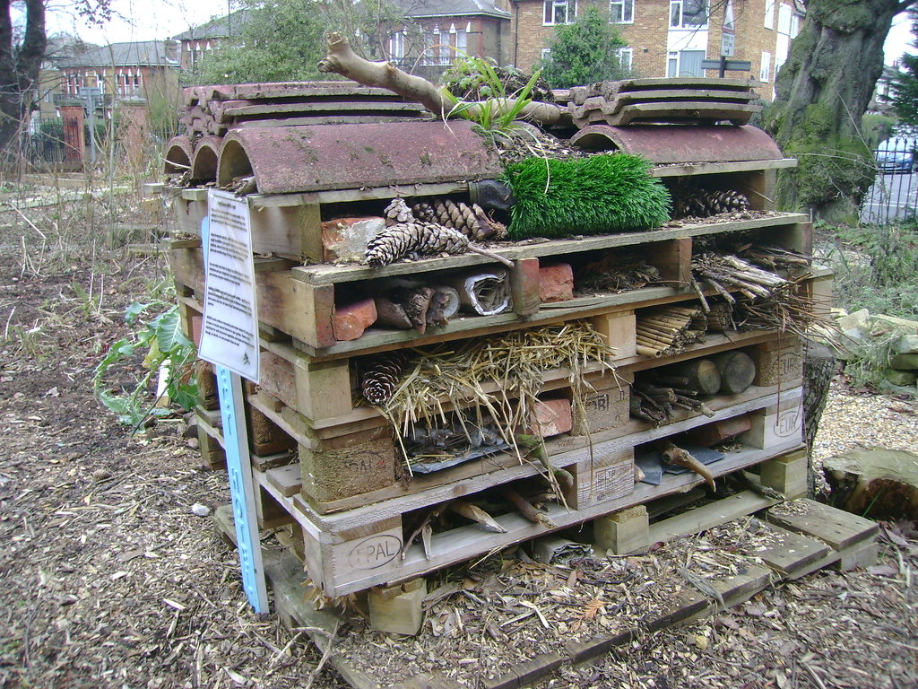 Pallet based Bug Hotel | London Permaculture | Flickr