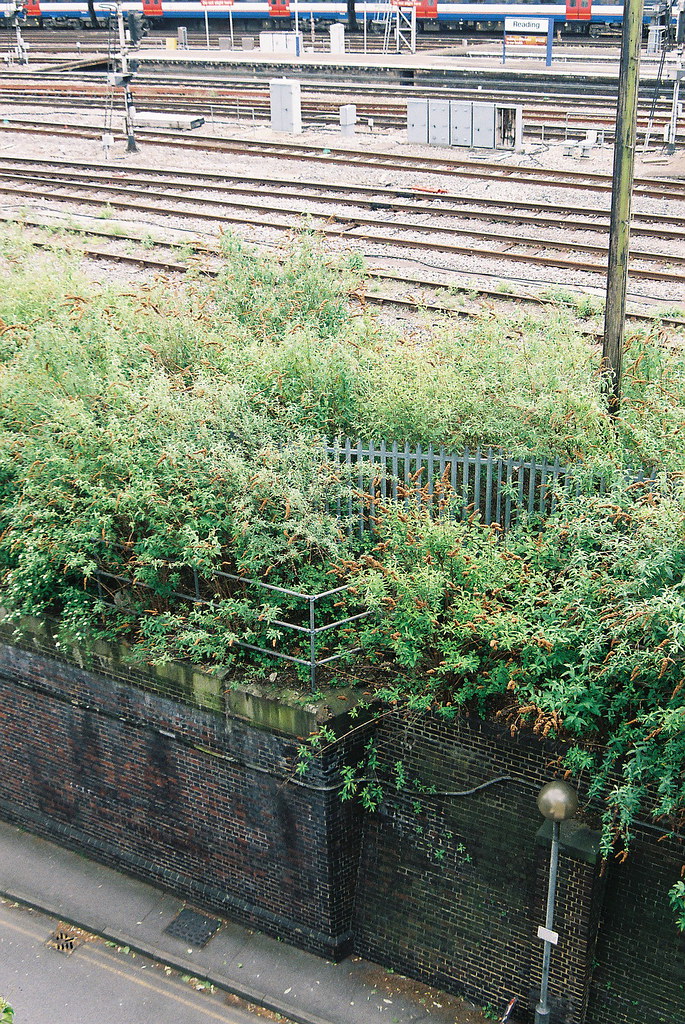 CNV00001 Dartmoor Lane Flickr