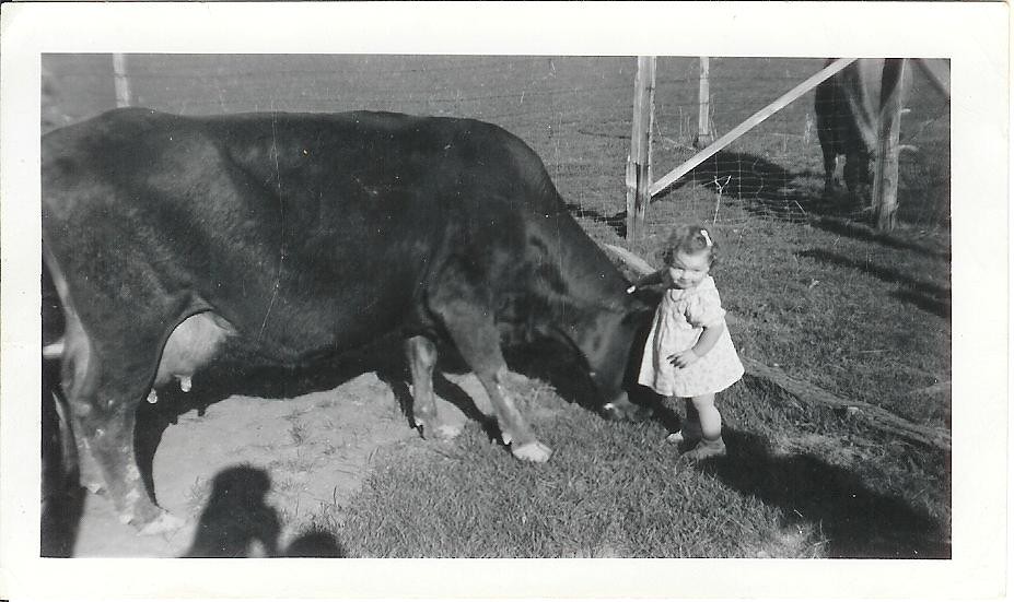 Linda Lodge Grass 002 Flickr