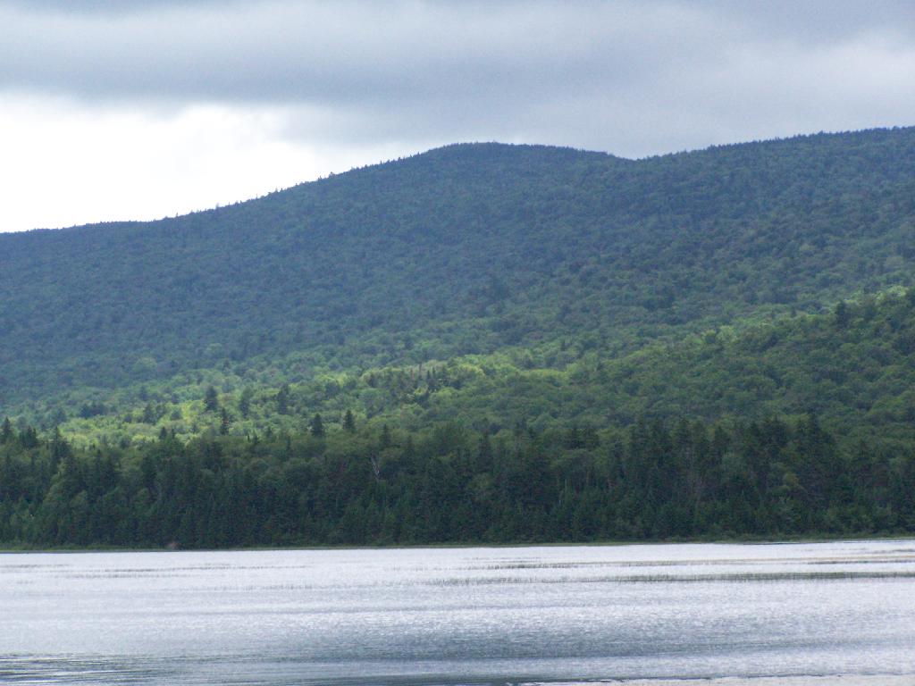 Buck Mountain at Moose River Plains Andy Arthur Flickr