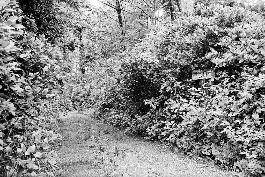 1304 Lynn Rd Tofino June 5, 2010 Matthew Tichenor Flickr