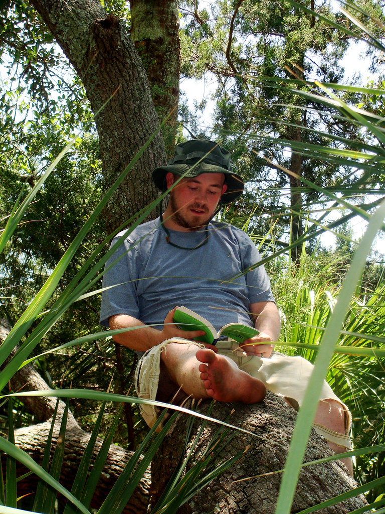 very advanced treedwelling monkey Camping in the Live Oak… Flickr