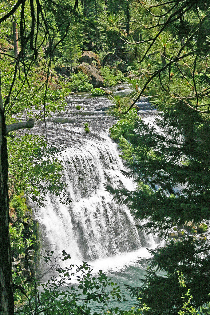 McCloud River Beautiful Middle Falls on McCloud River. Susan Stienstra Flickr