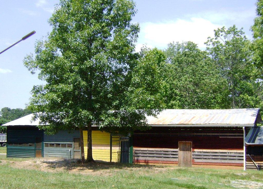 Balls Creek Campground, Camp Meeting, Catawba County, NC Flickr