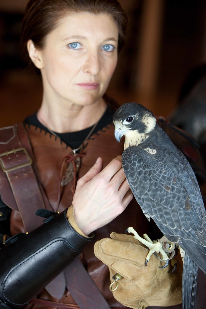 Falconry Academie Duello Flickr