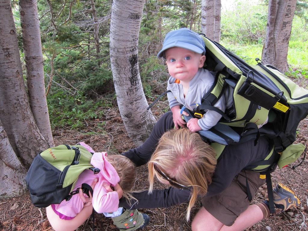 Stopping for a pee in the forest a photo on Flickriver