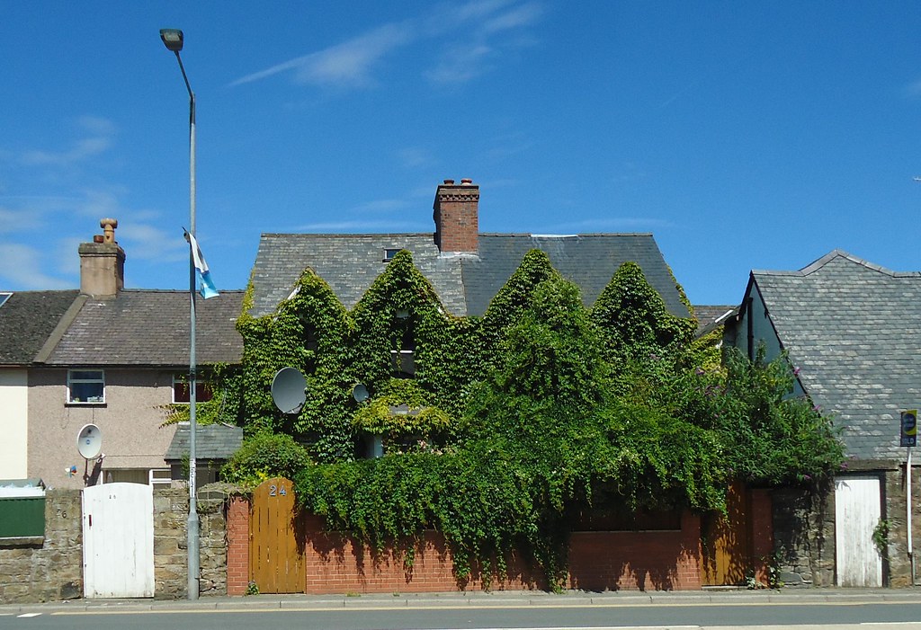 In Need Of A Hair Cut llangollen House July 2017 In Need O… Flickr