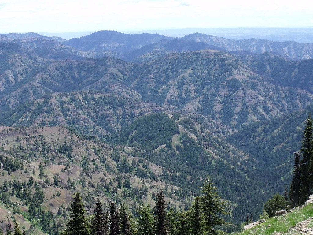 Intricate canyons of the NW Blue Mountains, Washington Flickr
