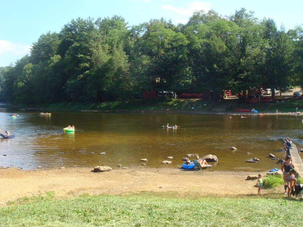 Cooks Forest 7/2010 Flickr