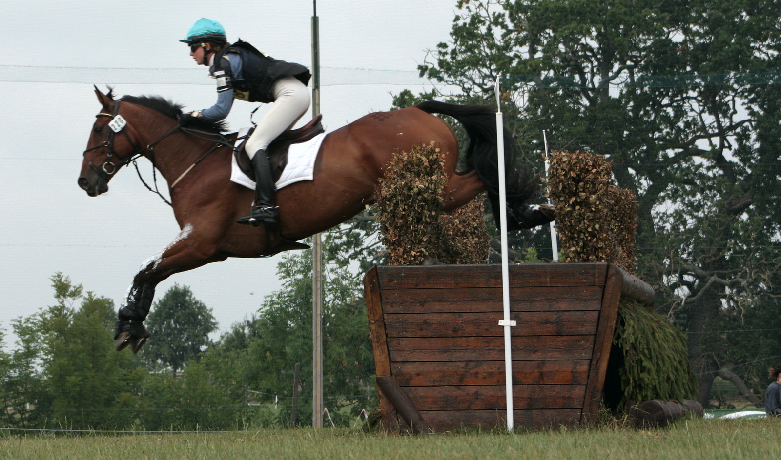 Horse Cross Country Flickr