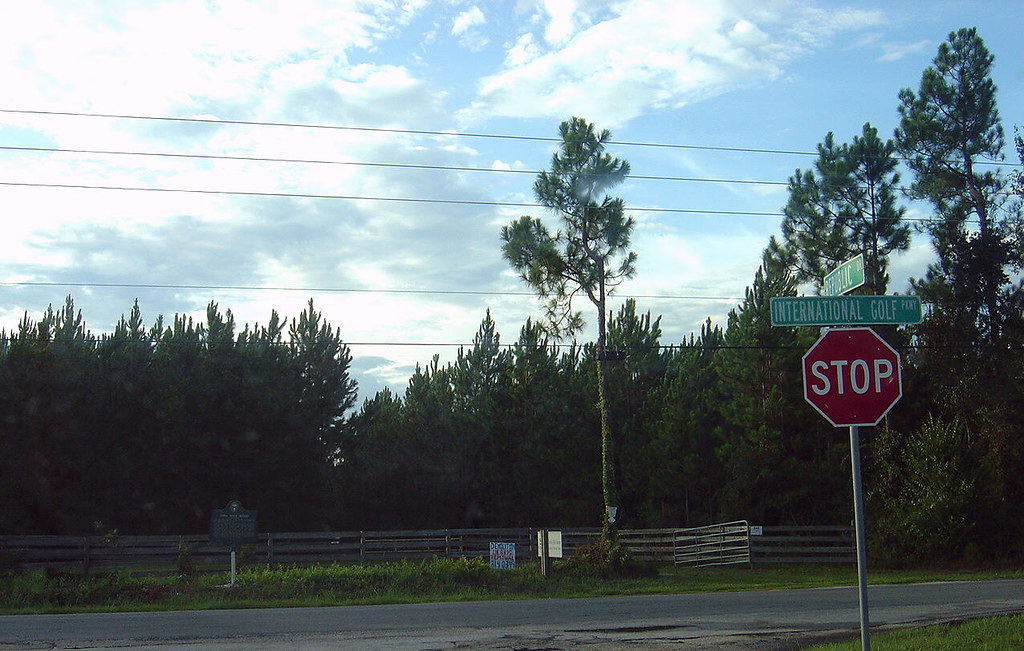 Nine Mile Swamp A preserve managed by the St, Johns River … Flickr
