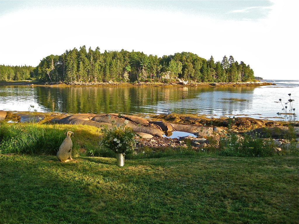 Seaside Wedding 089 Spruce Head, Maine smilla4 Flickr