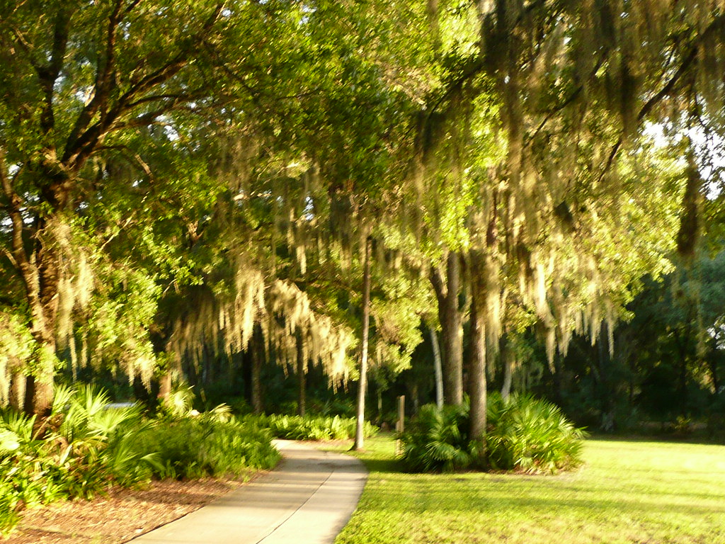 The Meadows, Sarasota, FL Homes for Sale The Meadows, Sara… Flickr