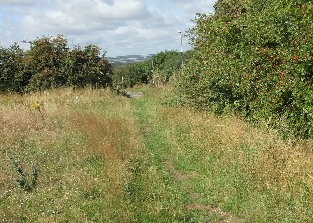 Icknield Way Path Wilbury Hills, Letchworth Looking west… Neil