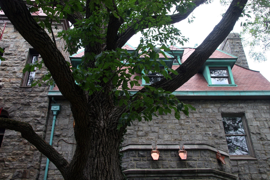 Castle Rock 15 Castle Rock, Garrison, New York ALNNJ Spe… Flickr