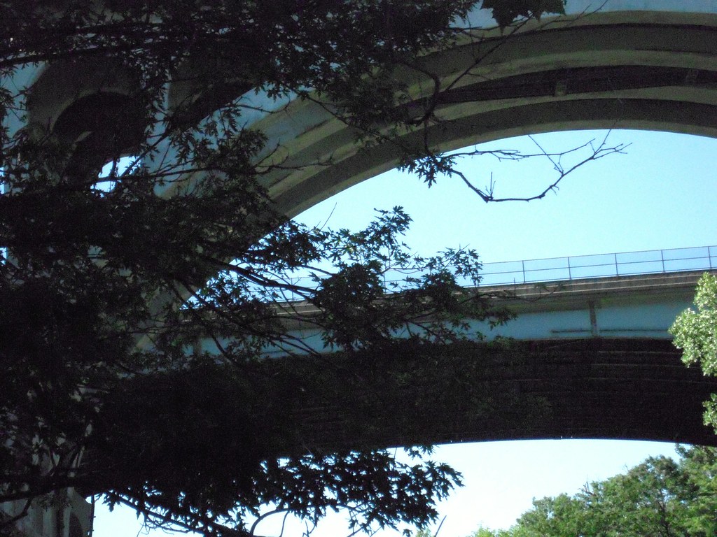 Cleveland [Rocky River] beneath Hilliard Bridge Flickr