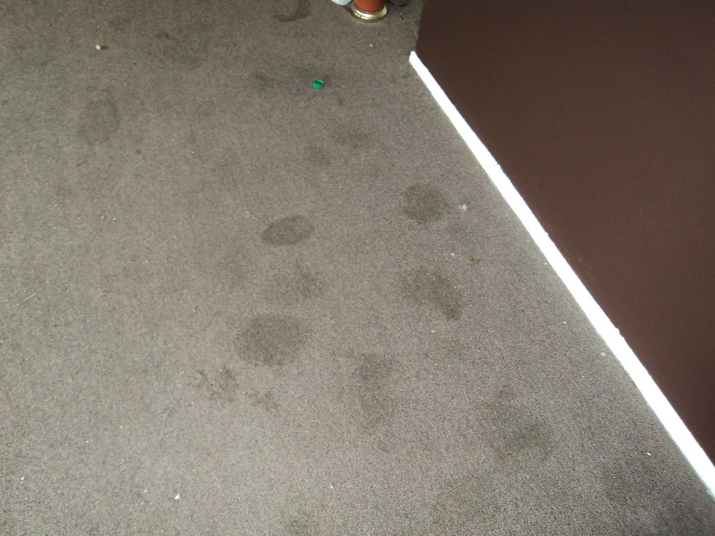 Pauls Rental at 1441 Russel Ln trashed 029