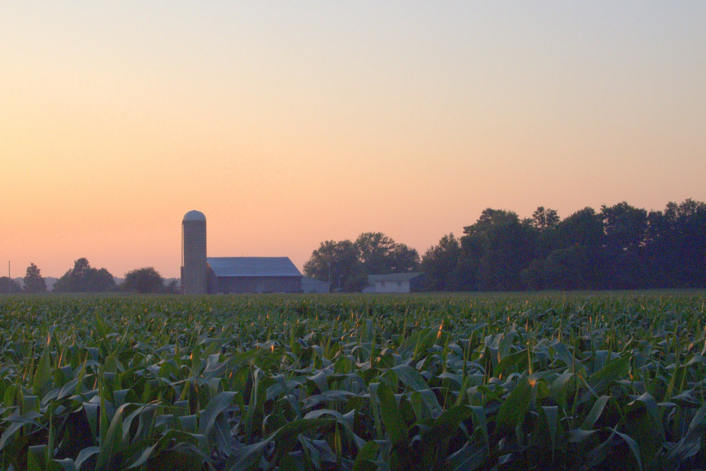 Farm country Elora, Ontario walidhassanein Flickr
